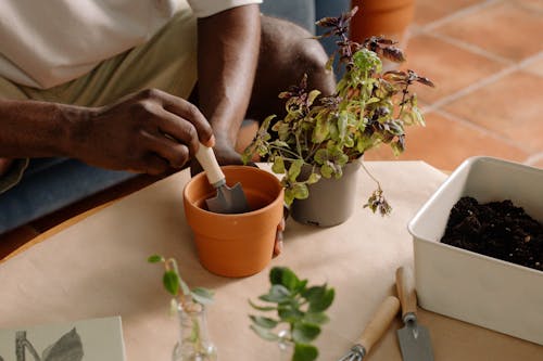 Person Using a Garden Trowel