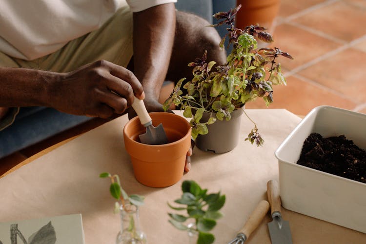 Person Using A Garden Trowel