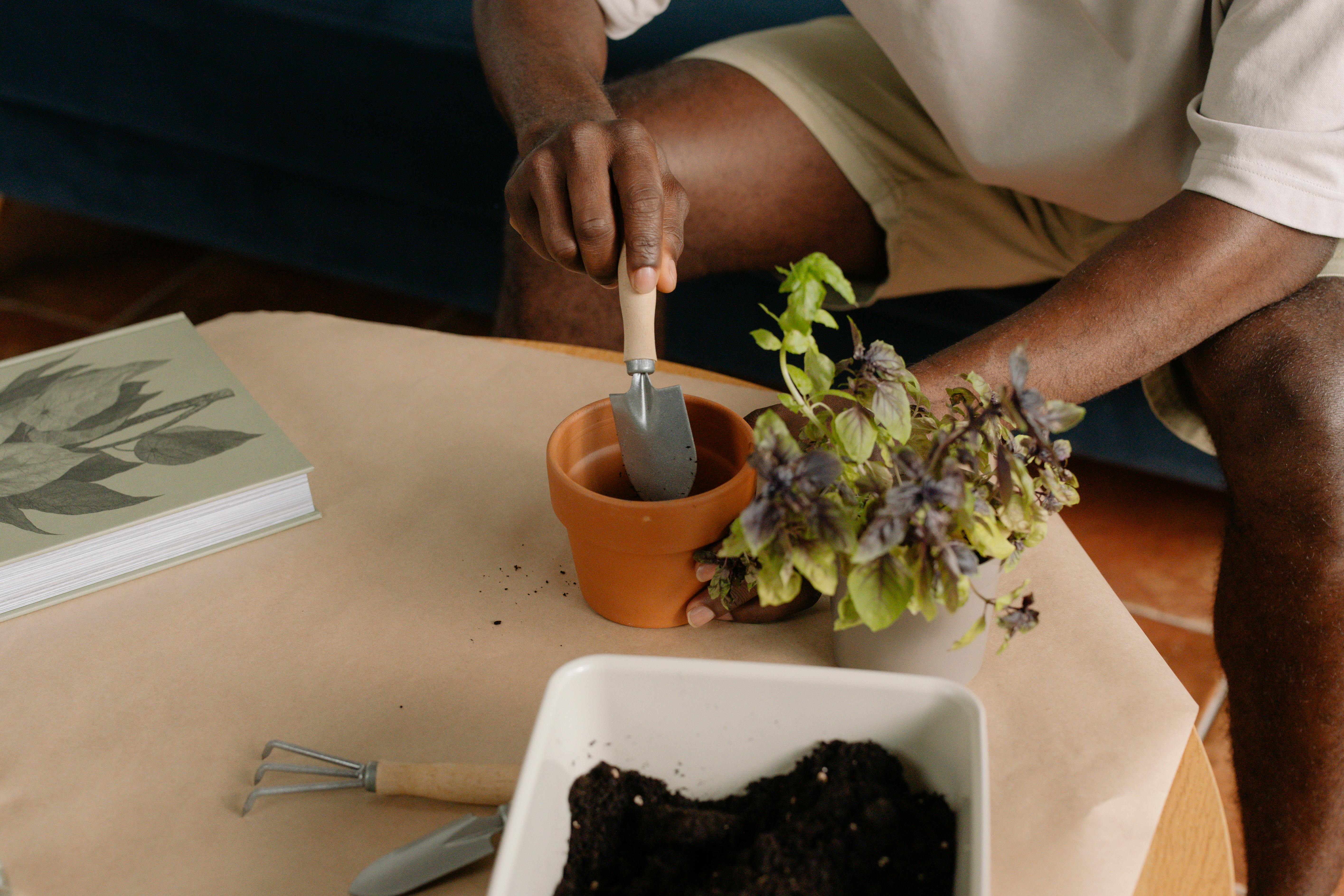 The 28 best gardening tools, according to expert gardeners — Photo by cottonbro studio on Pexels