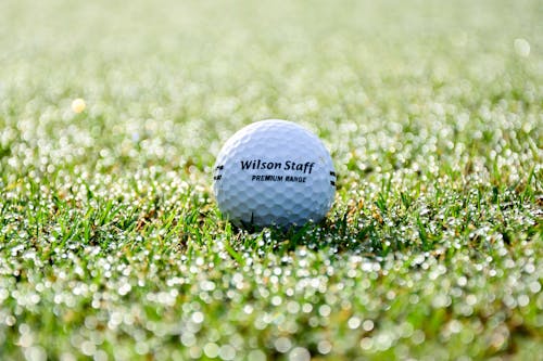 Close-Up Shot of a Golf Ball on a Grassy Field