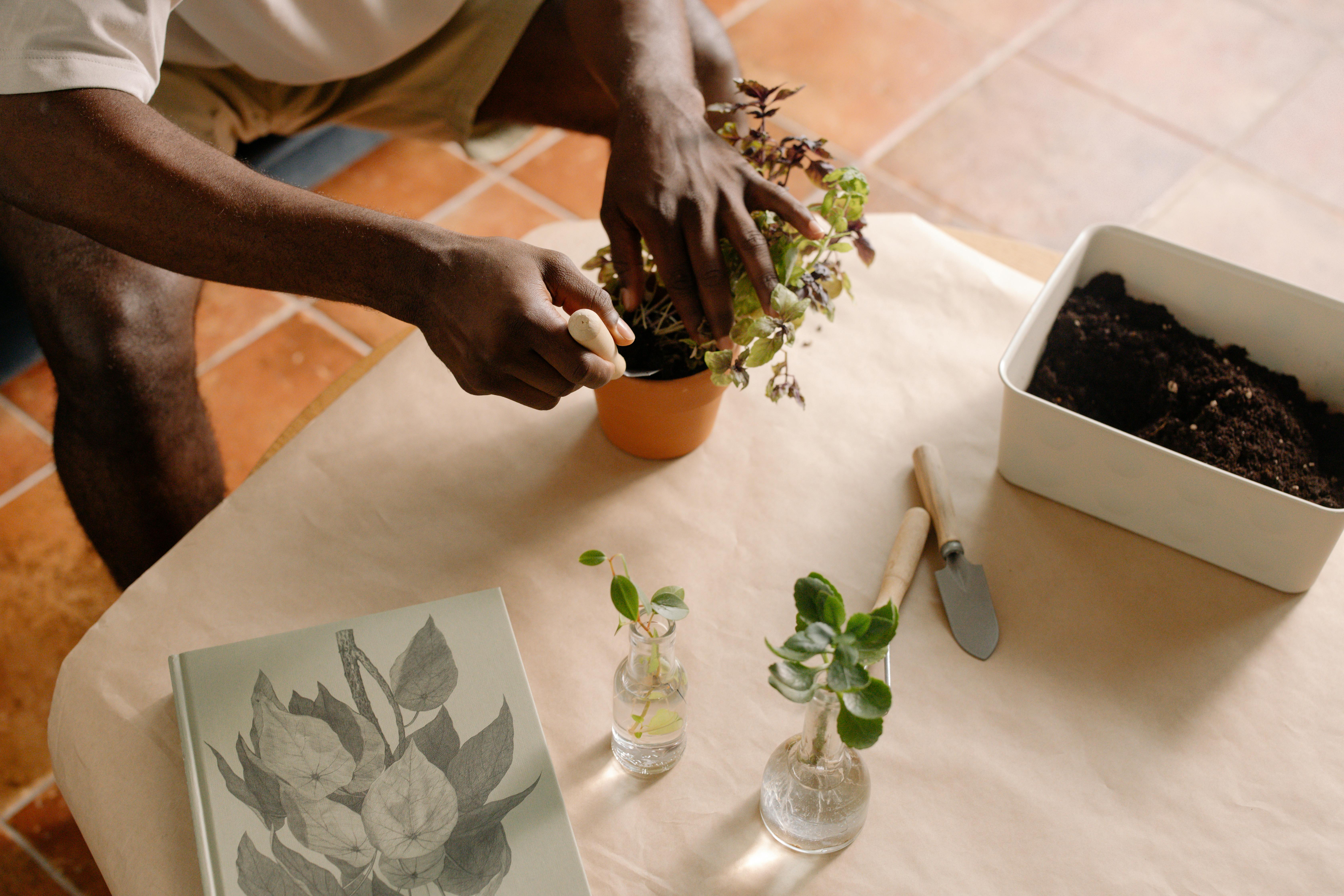 gardening ideas — Photo by cottonbro studio on Pexels