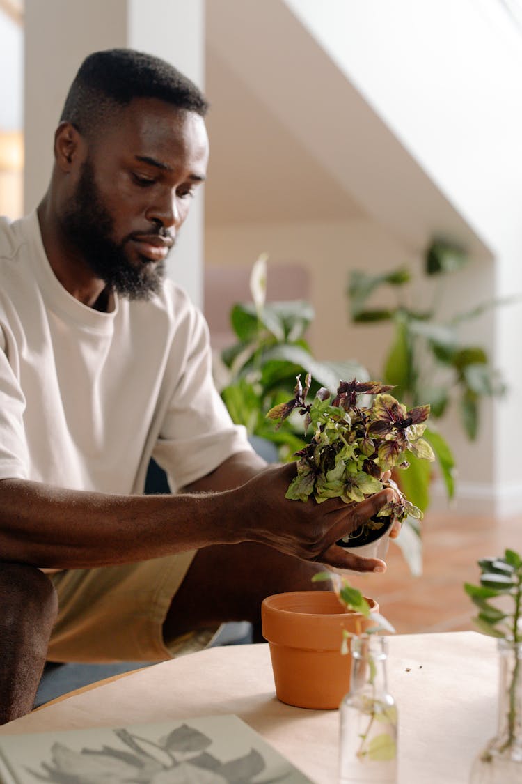 Bearded Man Holding A Plant