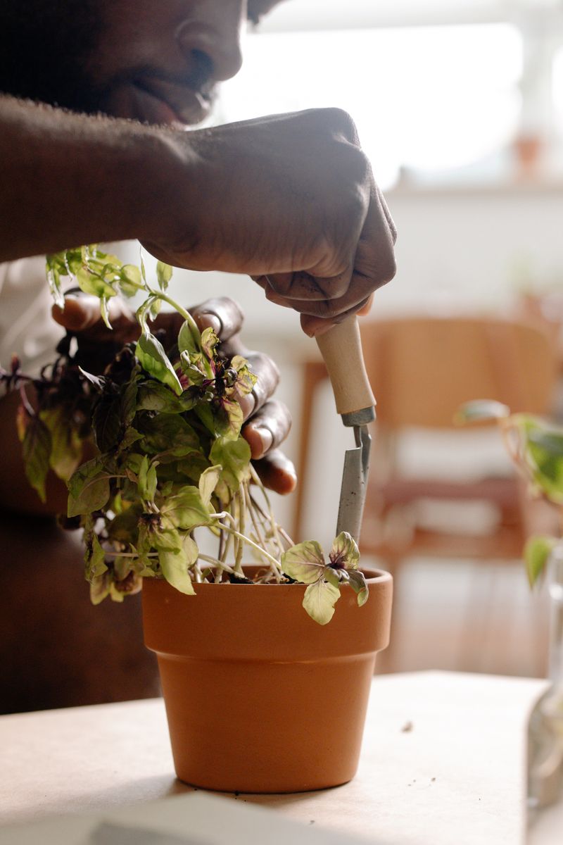 Gardener planting a container with a trowel