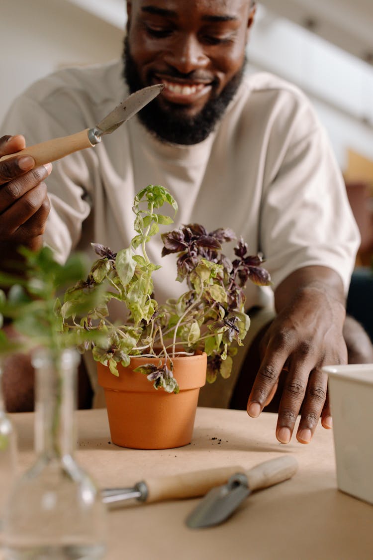 Planting An Indoor Plant