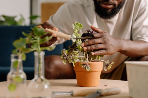 Free Close-up of a man gardening indoors with a clay pot and tools, focusing on plant care. Stock Photo