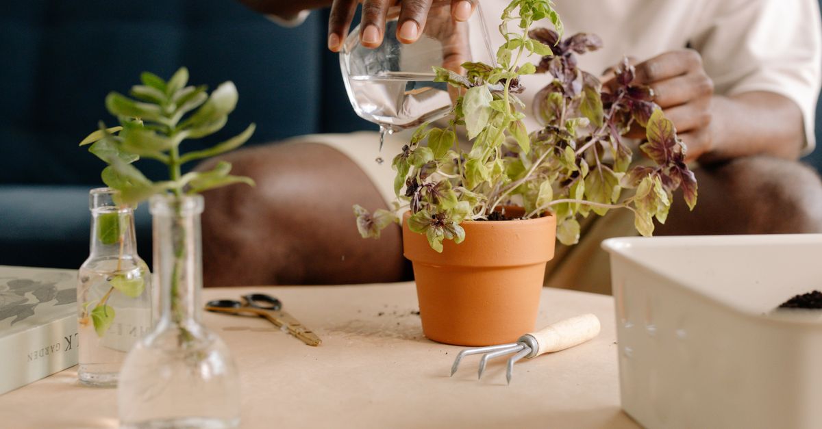 10 astuces pour aménager un jardin vertical réussi