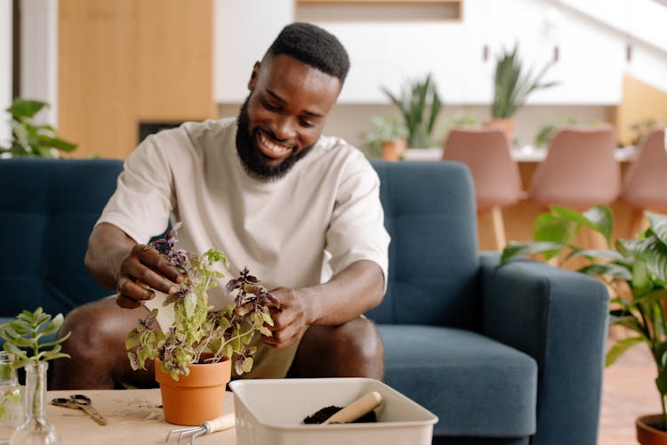 A Man Planting Plant In A Pot