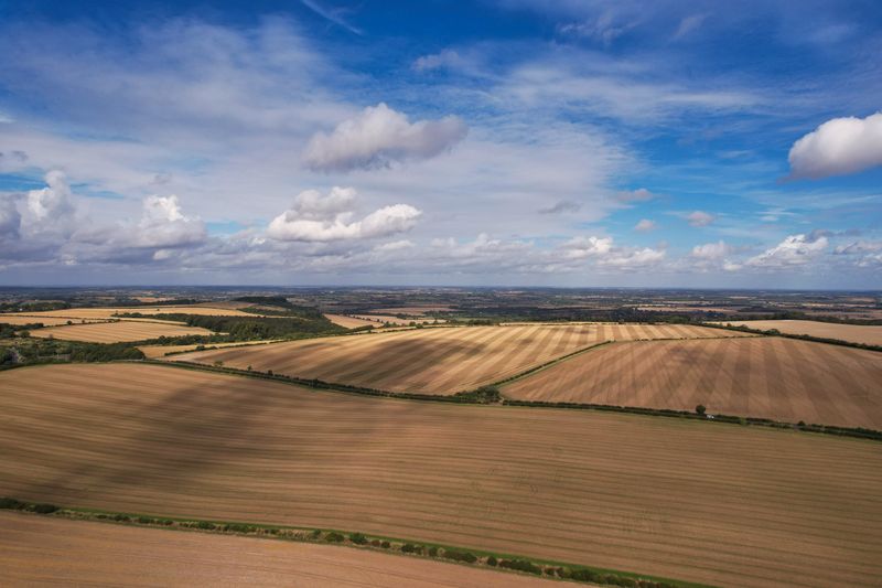 Aerial view of open cropland split by hedgerows under a wide summer sky — photo by Altaf Shah on Pexels