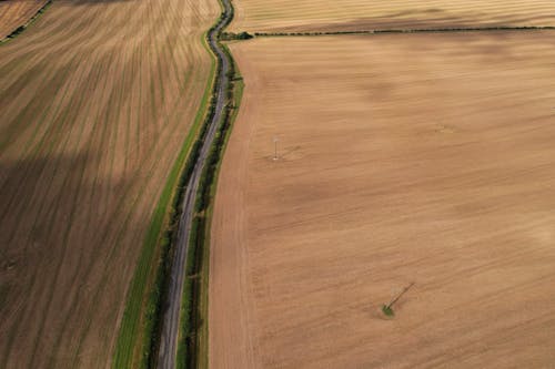 Darmowe zdjęcie z galerii z brązowe pole, kraj, krajobraz