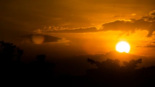 Free Golden sunset with silhouetted trees and dramatic clouds. Stock Photo