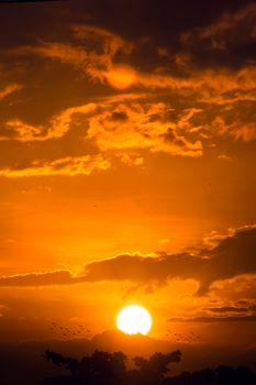 Stunning sunset with vibrant clouds and silhouetted trees creating a picturesque view.