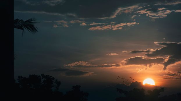 A beautiful sunset with vivid colors highlighting silhouetted trees and birds in flight.