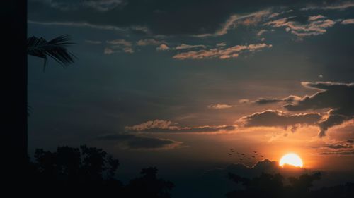 Free A beautiful sunset with vivid colors highlighting silhouetted trees and birds in flight. Stock Photo