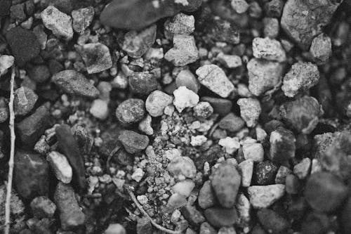 Grayscale Photo of Rocks