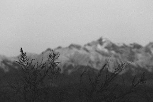 Grayscale Photo of a Mountain