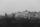 black and white nature