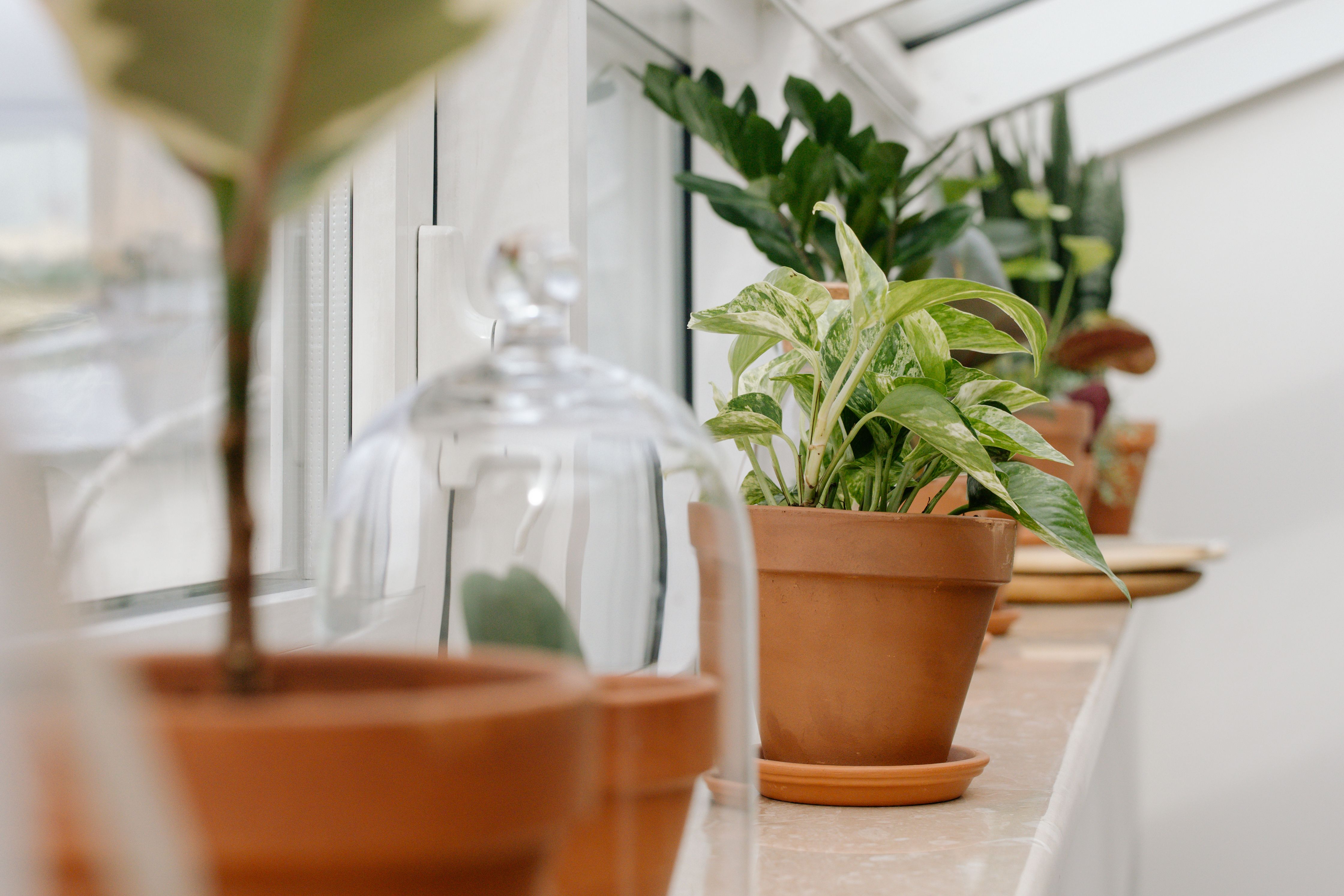 Biofiel design met natuurlijke materialen en planten.