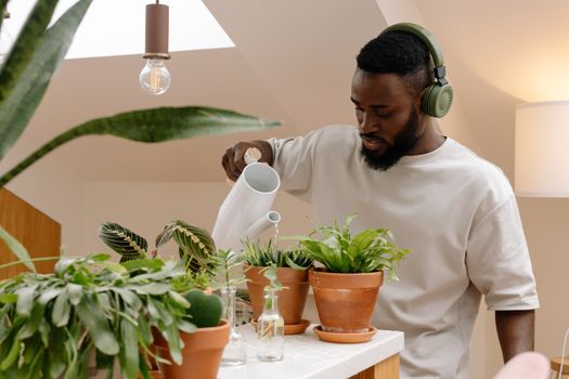 A man waters houseplants while listening to music indoors, creating a serene gardening moment.