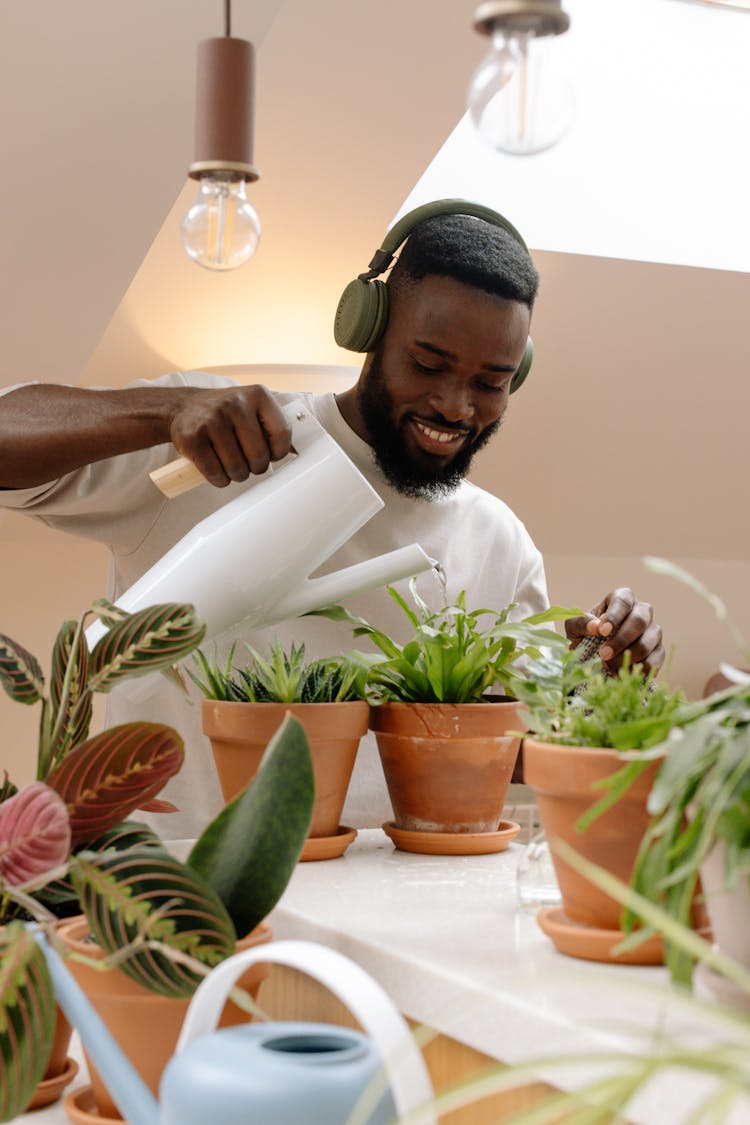 A Man Watering Green Plants