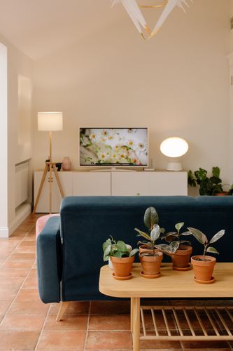 salón con plantas y sofá azul
