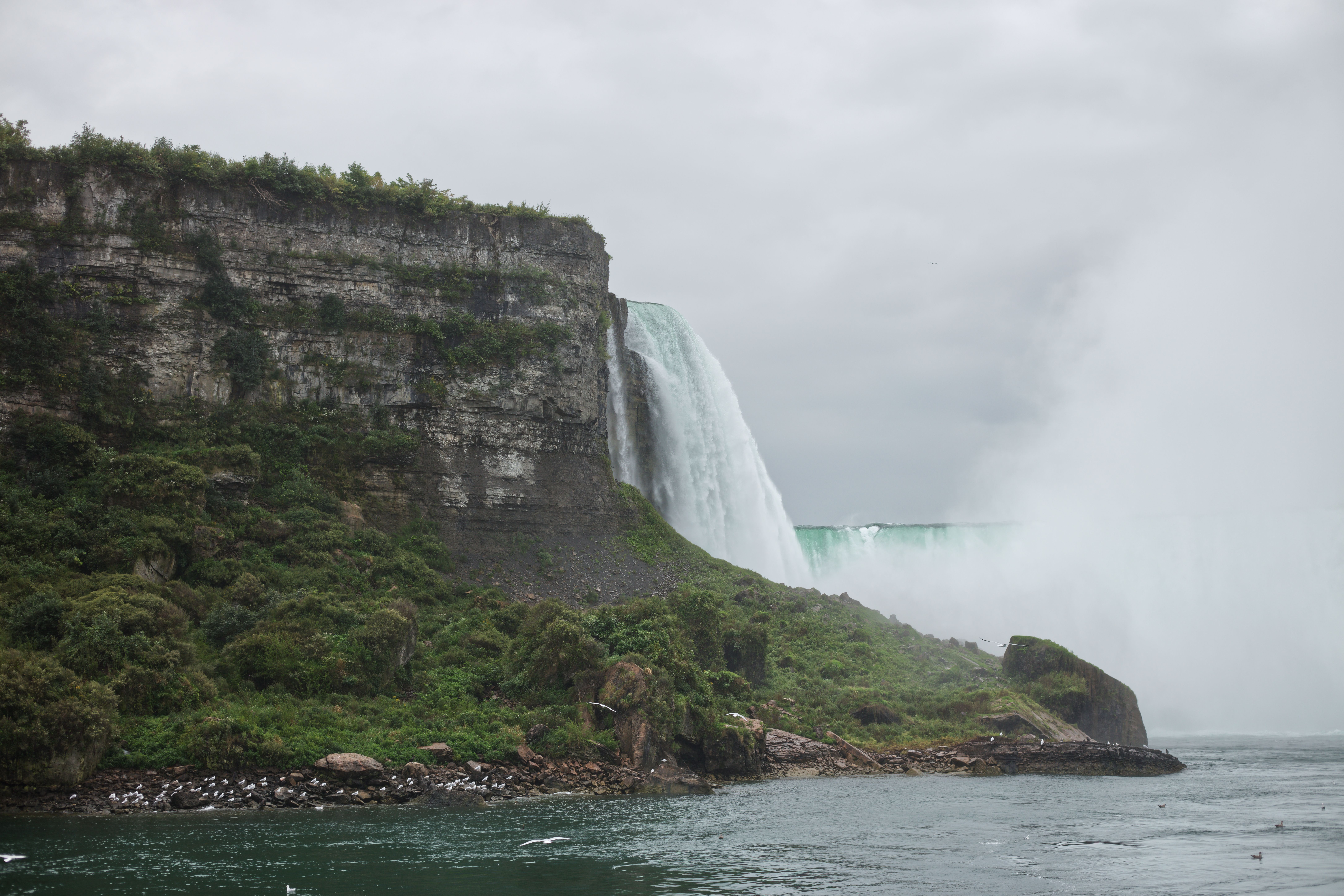 Niagara USA chamber announces search for new executive director — Photo by Elizabeth Lizzie on Pexels