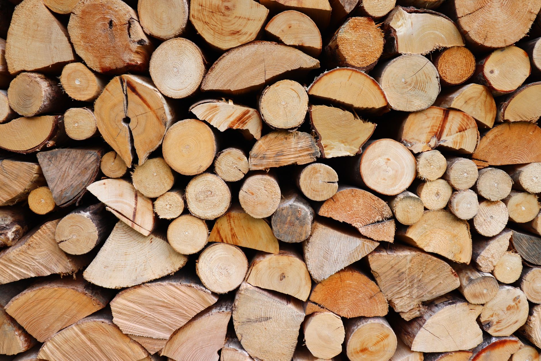 Best Log Splitter Under $1000 in 2026: Electric & Gas