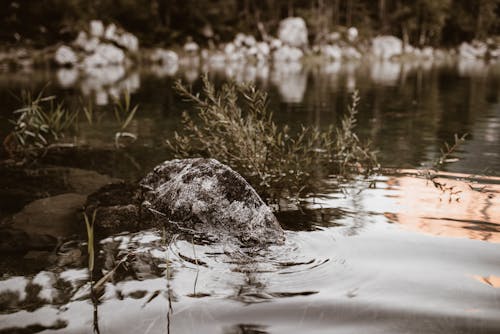 Gratis stockfoto met buiten, h2o, landschap