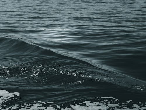 Bezpłatne Darmowe zdjęcie z galerii z morze, ocean, tło Zdjęcie z galerii