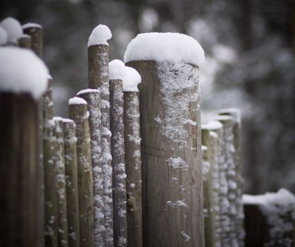 Close-up of a snow-covered wooden fence in a wintery forest scene.