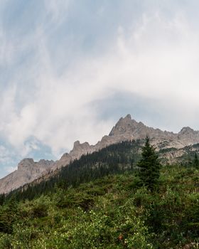 Majestic Rocky Mountain scenery in British Columbia, lush greenery and striking peaks under a cloudy sky.