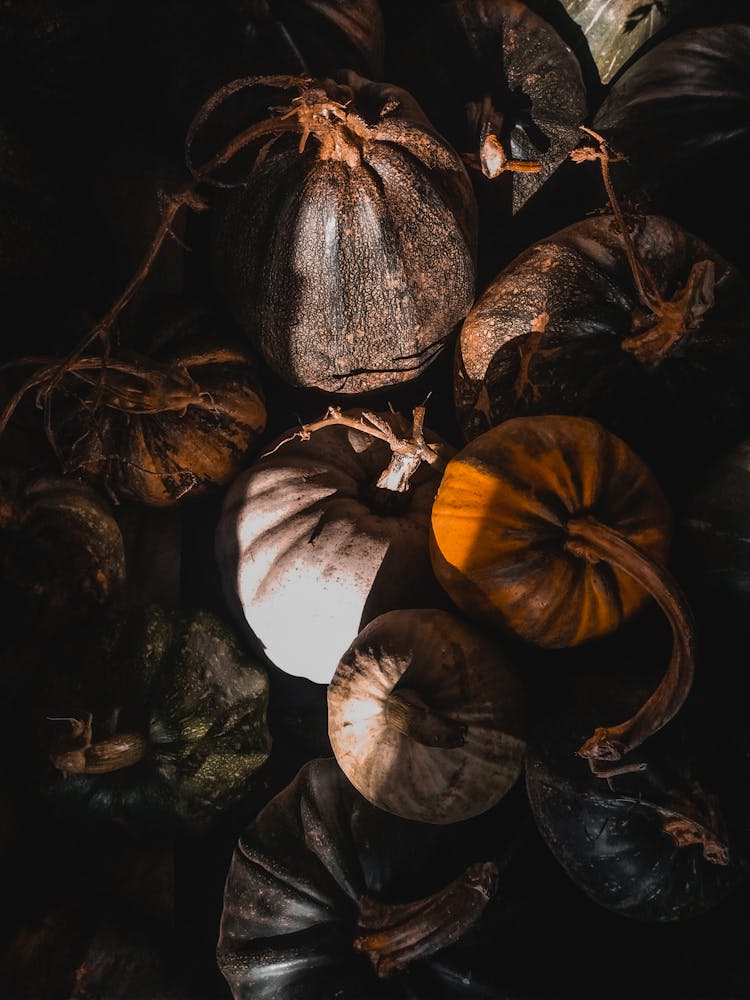 Top View Of Colorful Pumpkins 