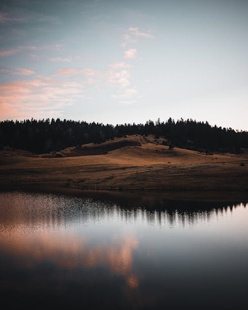 Fotos de stock gratuitas de agua, al aire libre, árbol