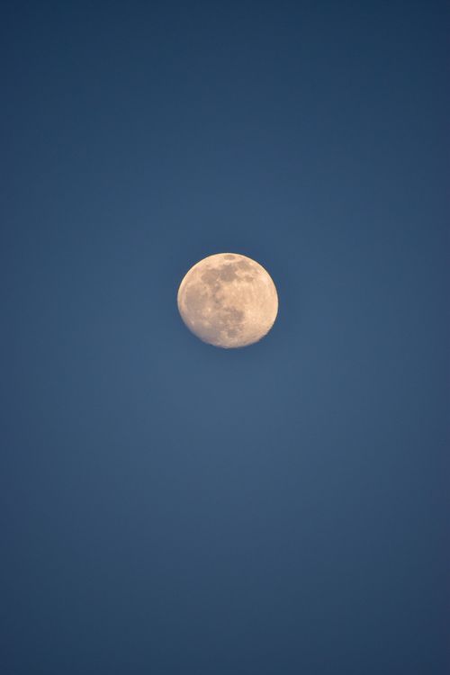 Free Close-up of a glowing full moon against a deep blue night sky. Stock Photo