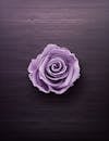 一朵美丽的浅紫玫瑰，以深色木制背景为衬托，非常适合花卉设计