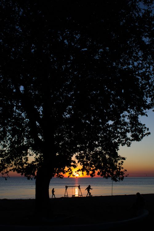 Free Children playing near the ocean during a vibrant sunset, with tree in silhouette. Stock Photo