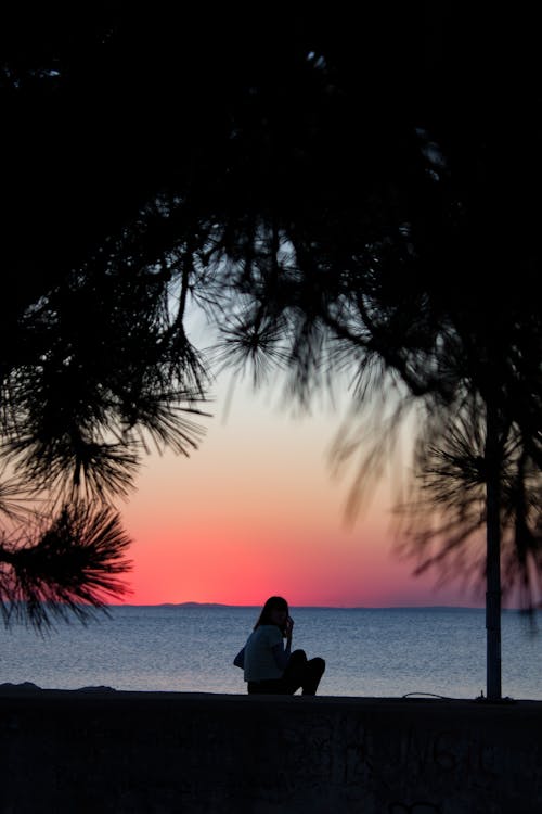 Silhouette of a Person Sitting on Beach during Sunset