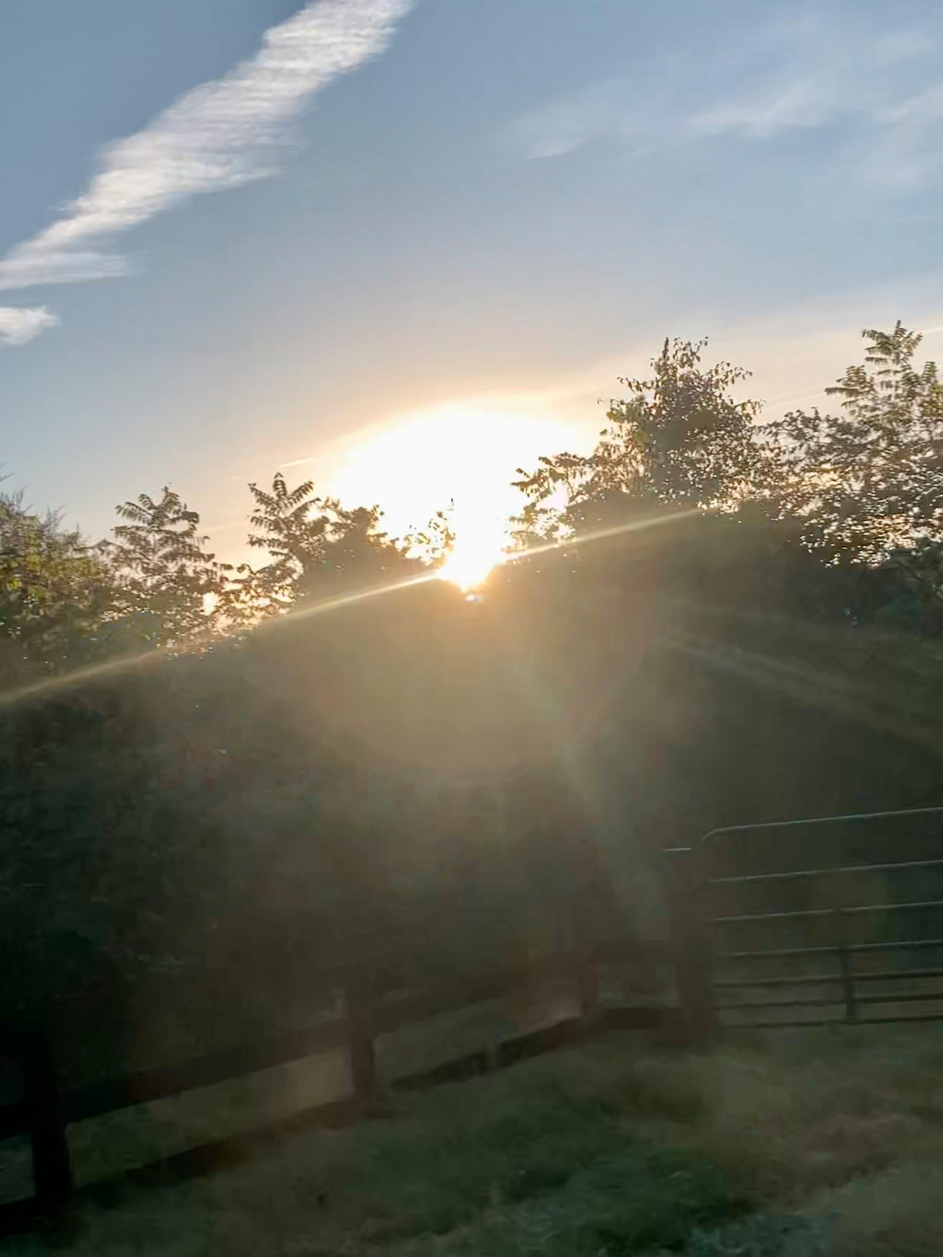 Cricket stadium filled with enthusiastic crowd