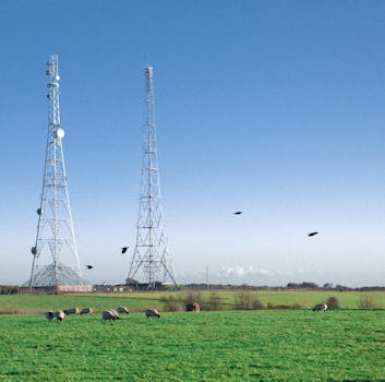 在英国肯特郡的一片绿地上，羊群正在两座输电塔旁放牧