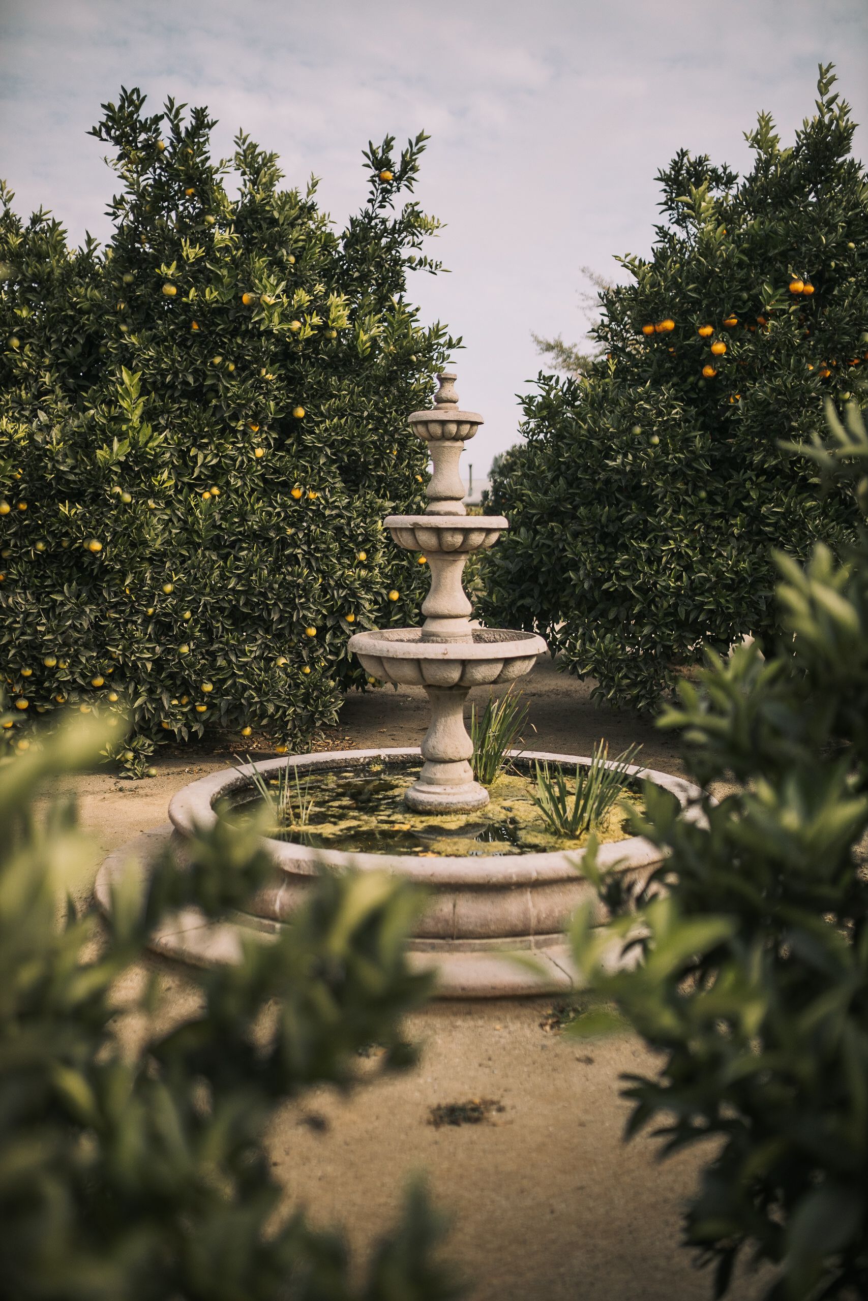 White Concrete Fountain Structure Surrounded by Green Plants · Free ...