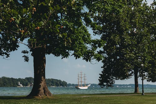 Ship with Masts Sailing behind Trees