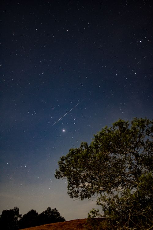 Free A serene night sky with a shooting star over silhouetted trees, showcasing the beauty of nature. Stock Photo