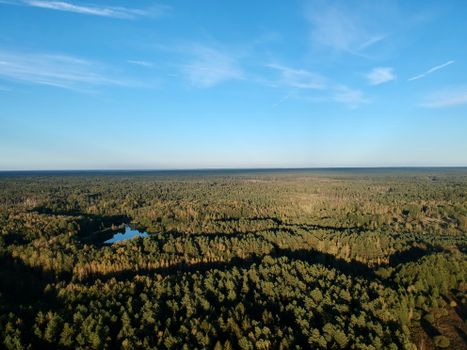 Drone shot capturing the expansive forest with a tranquil pond in Selishche-Bol'shoe, Belarus.