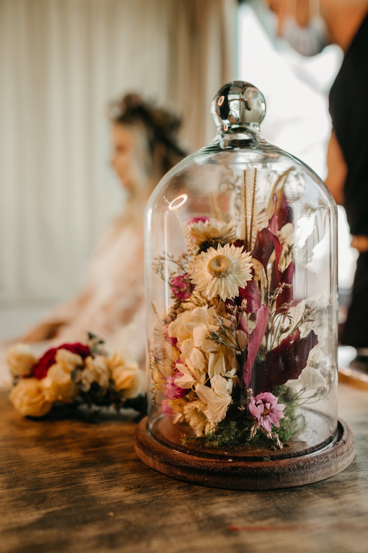 Blooming Flowers In A Domed Tray