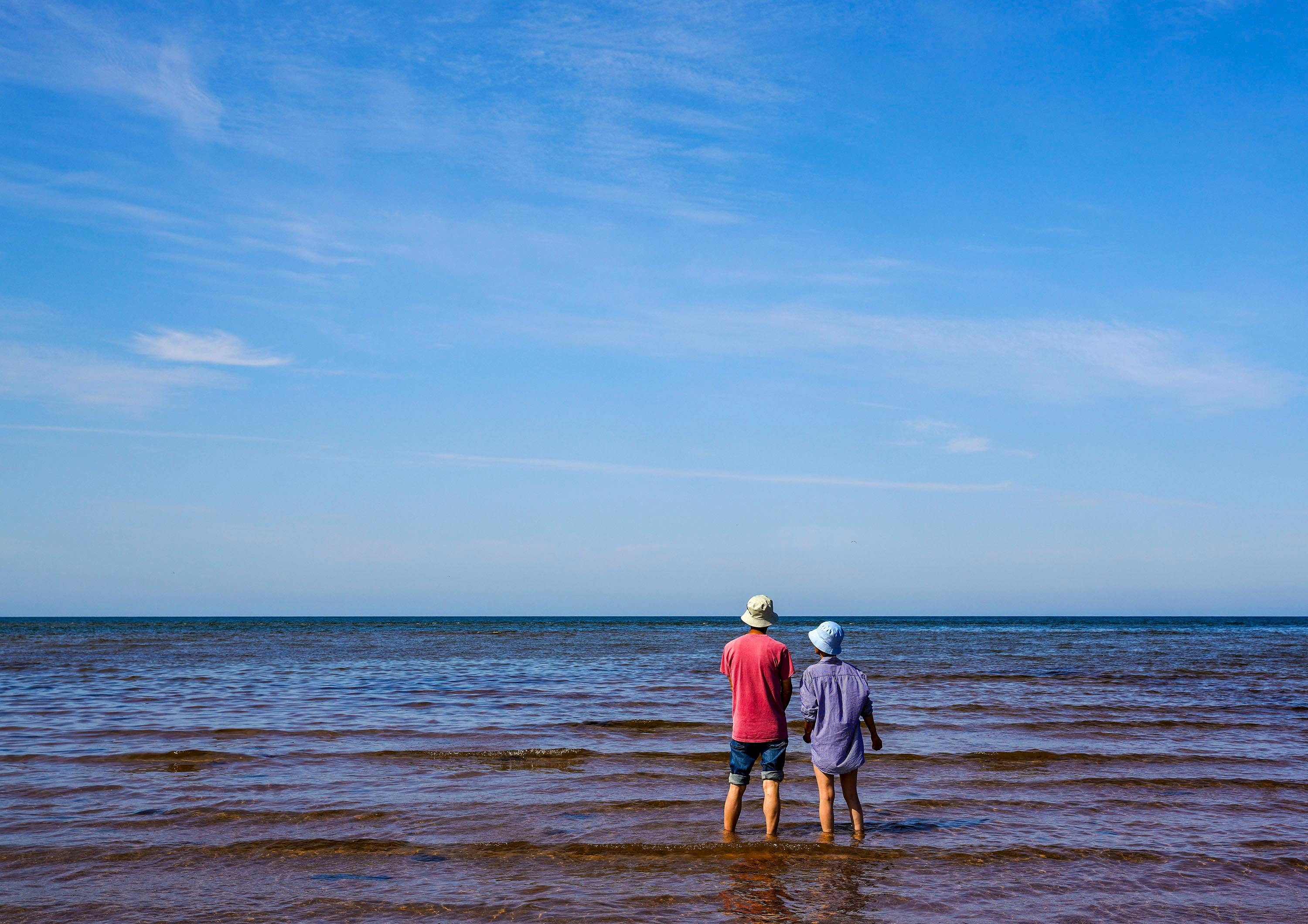 People Standing on Sea Shore under Clear Sky · Free Stock Photo