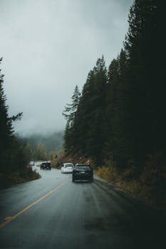 Cars travel along a foggy mountain road, flanked by dense trees, creating a moody and serene atmosphere.
