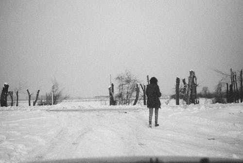 걷고 있는, 겨울, 그레이스케일의 무료 스톡 사진