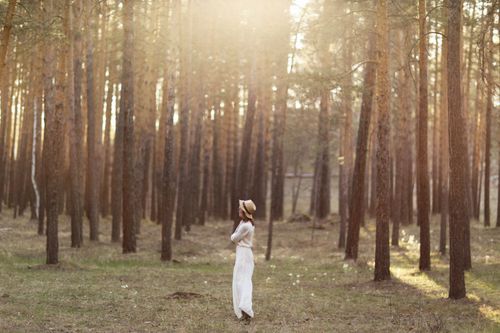 Free A woman stands in sunlight between tall trees, creating a serene forest scene. Stock Photo