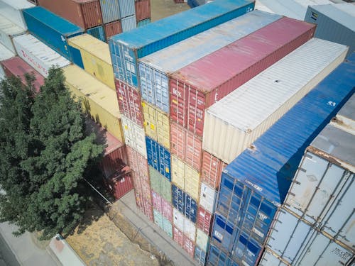 Piles of Shipping Containers Near a Tree
