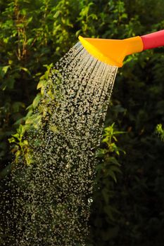A vibrant yellow watering can pouring water on lush green plants in a garden setting.