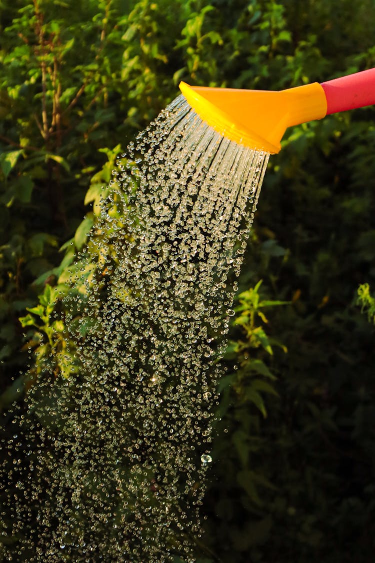 Plastic Watering Can Pouring Water